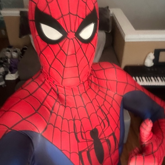 Spider-Man Professional Grade Cosplay Costume! - Picture 7 of 12